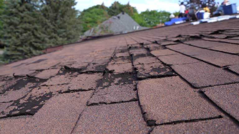 Best Slate Roofing  in Newtown, OH